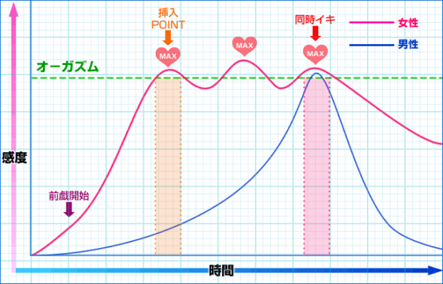男と女のオーガズムリズム波線グラフ