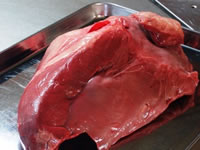 動物系成分「馬の心臓」