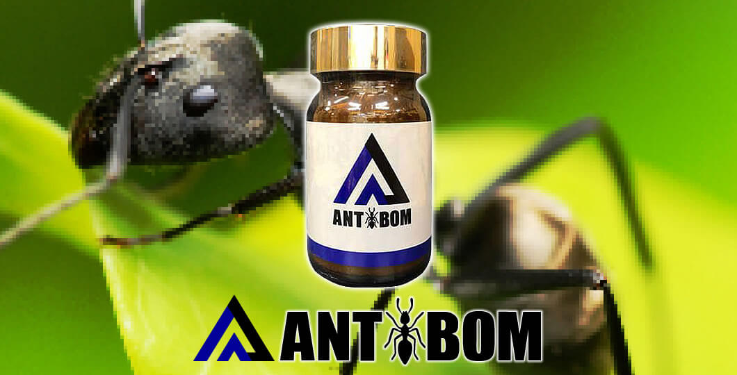 黒蟻でパワー爆発！精力増強サプリ「ANTBOM」で蘇る、驚異の勃起力を体感せよ！