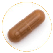 精力増強サプリ「ボルギア3ブースト」Type2：茶色カプセル（動物系成分）